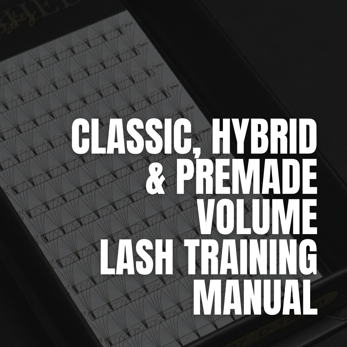 Classic, Hybrid & Pre-Made Volume Lash Training Manual - Ebook
